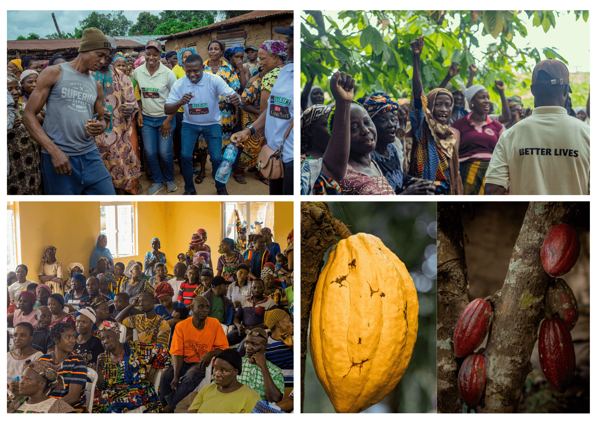 Cocoa farming community members at origin