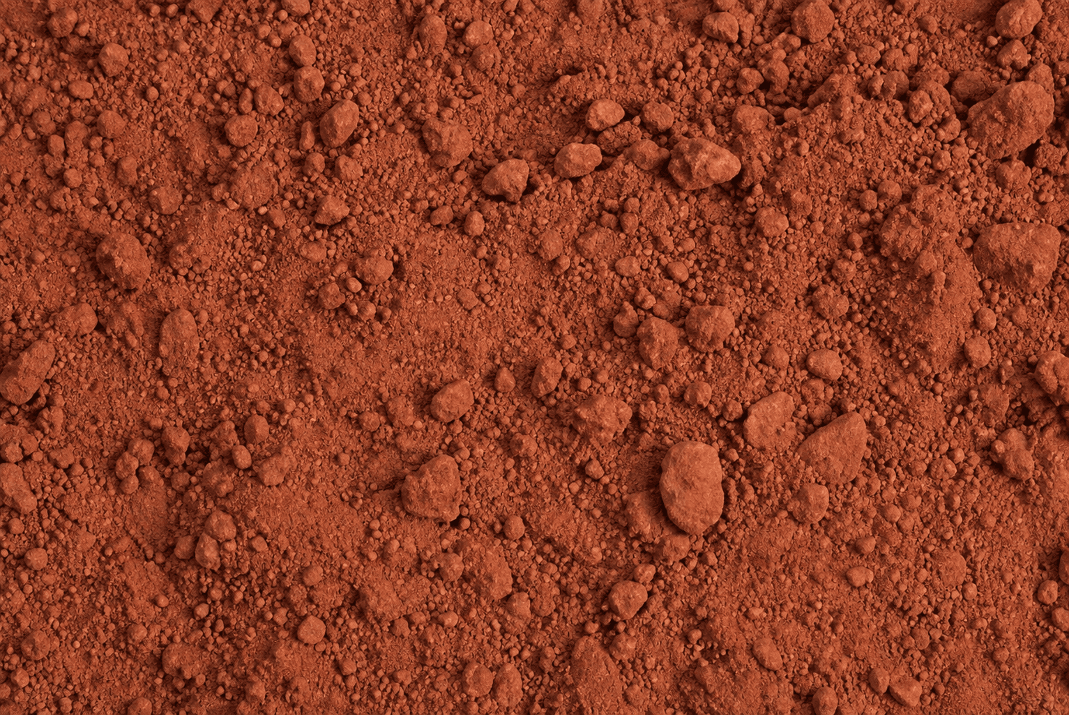 Cocoa Powder